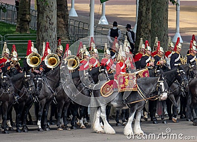 Military drum horse taking part in the Trooping the Colour military ceremony at Horse Guards, London UK Editorial Stock Photo