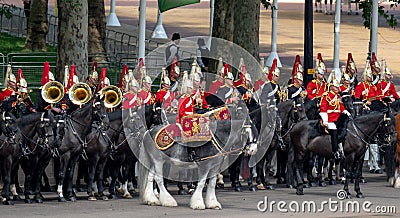 Military drum horse taking part in the Trooping the Colour military ceremony at Horse Guards, London UK Editorial Stock Photo