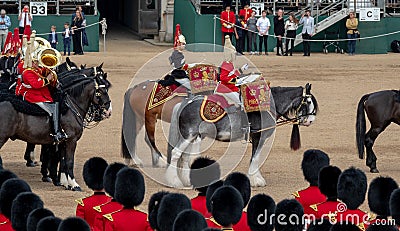 Military drum horses with riders taking part in the Trooping the Colour military ceremony at Horse Guards, London UK Editorial Stock Photo