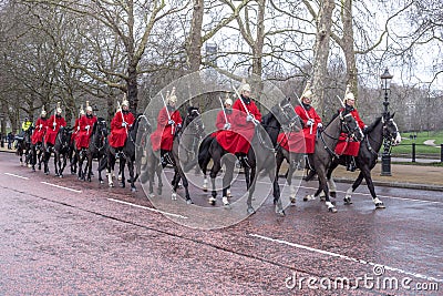 Military horse buckingham palace wet street london Editorial Stock Photo