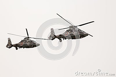 Military rescue Panther helicopters in air show Editorial Stock Photo