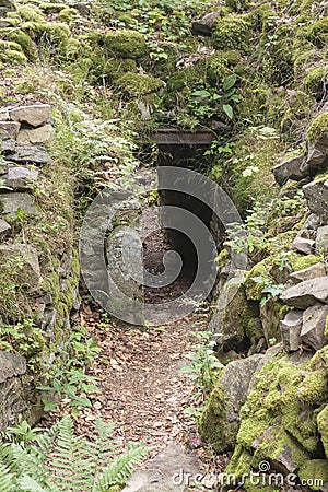 Military trench at Vieil Armand, Hartmannswillerkopf battlefield, in Vosges mountains in France. Editorial Stock Photo