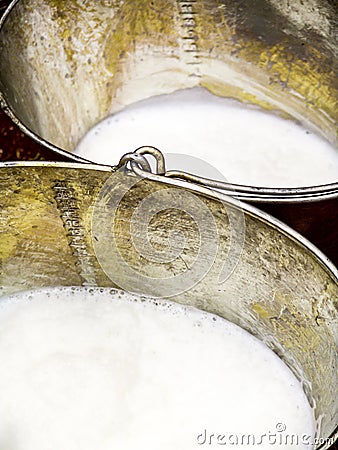 Milk in a bucket with quantity measurement, in Brazil Stock Photo