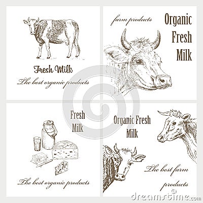 Milk and cow Vector Illustration