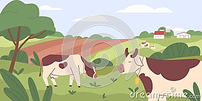 Milk cows grazing in pasture, eating grass. Farm domestic animals, heifers in grassland. Free-range cattle on farmland Vector Illustration