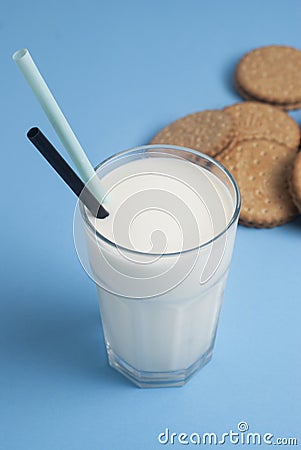 Milk in Glass Straw Isolated with Biscuits Cookies Blue Background Dairy Products Lactose Stock Photo