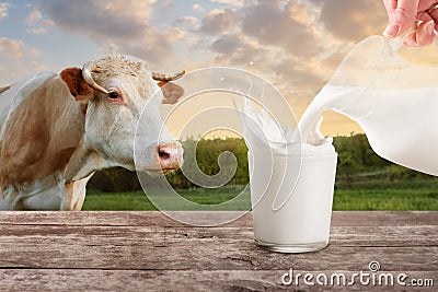 Milk from jug pouring into glass with splashes Stock Photo