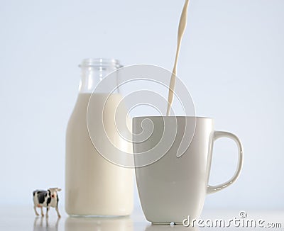 Milk and cow Stock Photo