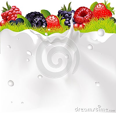 Milk Splash Background, Fruit Berries And green Grass Vector Illustration