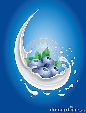 Milk splash with blueberry Vector Illustration