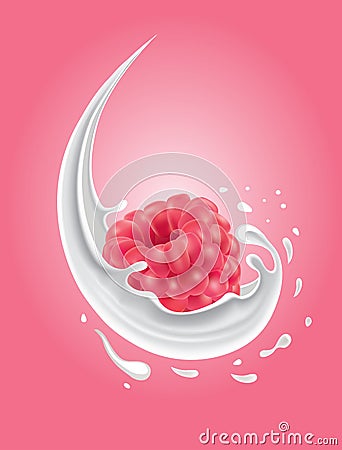 Milk splash with fresh raspberry Vector Illustration