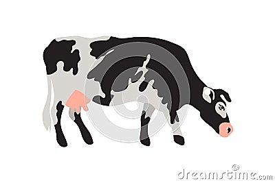 Milk spotted cow in black, white, gray, gold and pink. Agriculture, farming, village life. Pet. Vector Illustration