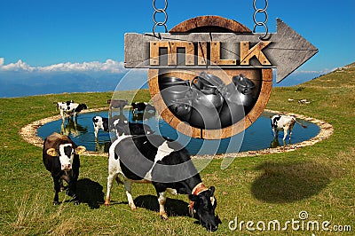 Milk - Wooden Sign with Grazing Cows Stock Photo