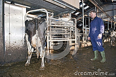 Milking robot Stock Photo