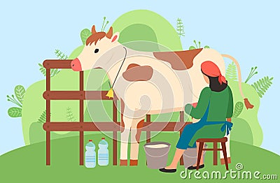Milkmaid is working at countryside milking cow in field. Woman farmer near cow on nature landscape Vector Illustration