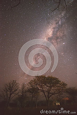 Milky Way above forest Stock Photo