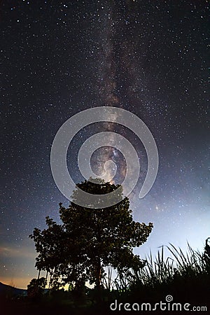 The Milky Way above the shadow of a tree,Long exposure photograph, with grain Stock Photo