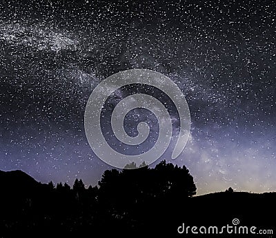 Milky way above trees and hills Stock Photo