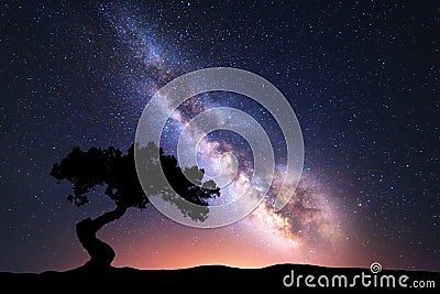 Milky Way with alone crooked tree on the hill Stock Photo