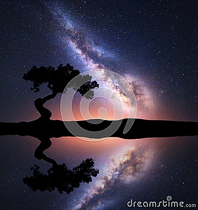 Milky Way with alone tree on the hill near the lake Stock Photo