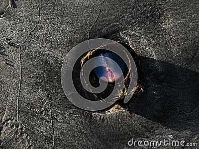 Milky way edit in a coconut shell on a sandy beach Stock Photo