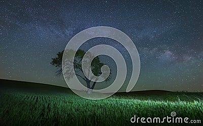 Milky Way in the famous Palouse region Stock Photo