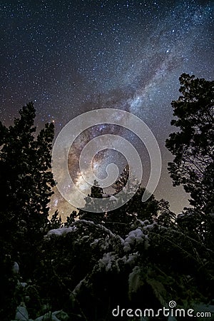 Milky way galaxy core between pine trees in dark winter forest with snow Stock Photo