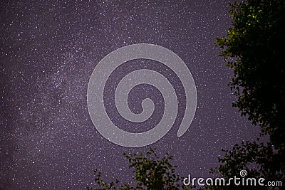 The milky way galaxy observed from a wild and dark place. Night details with the sky full of stars and silhouettes of trees Stock Photo