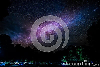 Milky way galaxy rising over the trees Stock Photo
