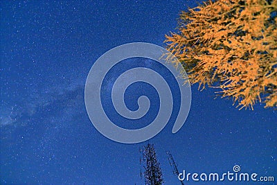 Night sky with stars and the galaxy in BEIJING Stock Photo