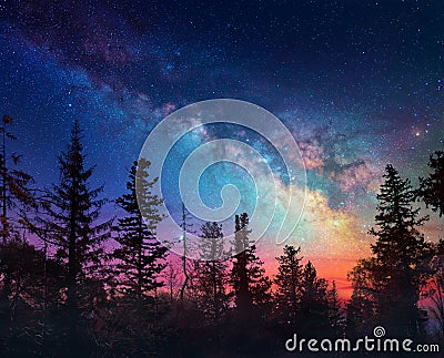 Milky Way In Night Forest Scene With Fog Stock Photo