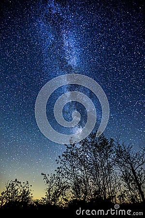 Milky Way(Torrance Barrens Dark-Sky) Stock Photo