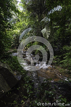 The Milky Way towering above the moonlight waterfall,Landscape of stream that flows from the cave to the waterfall with beautiful Stock Photo