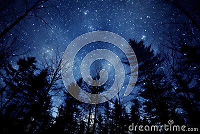 The Milkyway Is Blue, A Starry Sky With Trees Stock Photo