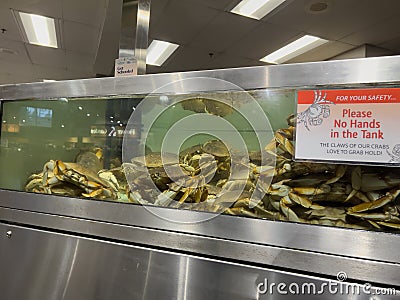 Mill Creek, WA USA - circa March 2023: Close up view of a crab tank inside a Town and Country grocery store Editorial Stock Photo