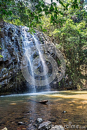 Milla Milla Falls, Atherton Tablelands, Queensland, Australia Stock Photo