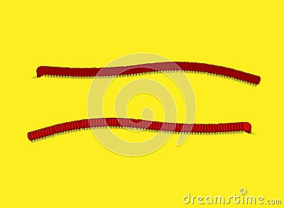 Millipede Worm Vector Illustration Vector Illustration