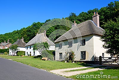 Milton Abbas thatched cottages. Stock Photo