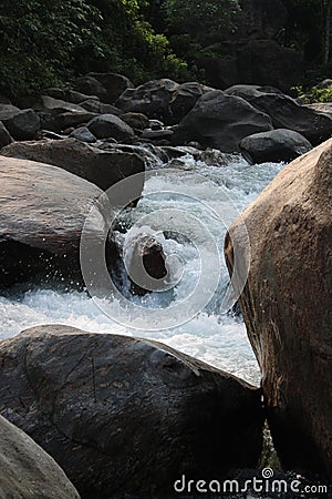 Mily whte water flow betown bolder from forest Stock Photo