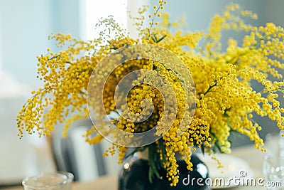 Mimosa flowers in vase on table. Happy womens day or Happy Mothers day greeting card Stock Photo