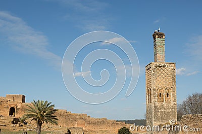 Minaret and storks Stock Photo