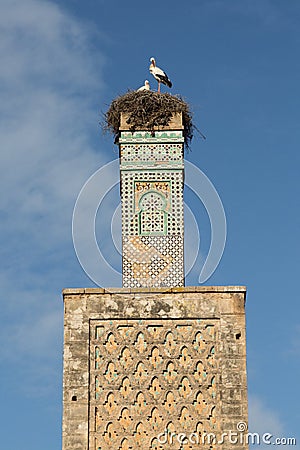 Minaret and storks Stock Photo