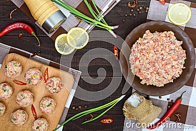 Mince, spices, green onions - the ingredients for the preparation of meat balls on a dark wooden background. Stock Photo