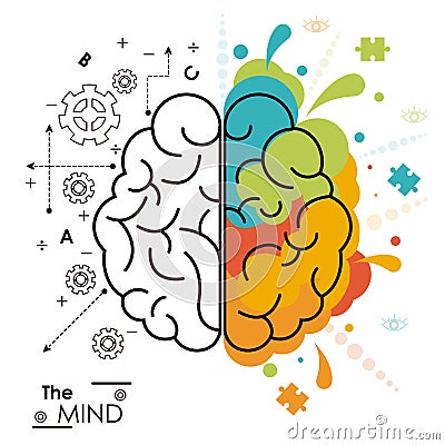 The mind brain human functions left right design Vector Illustration