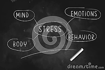 MIND STRESS EMOTIONS BEHAVIOUR BODY Graph illustration drawn with chalk on blackboard icon logo design vector illustration Vector Illustration