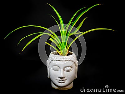 mindfulness eco-friendly buddha statue isolated with black background from different angle Stock Photo