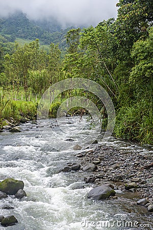 Mindo River, Ecuador Stock Photo