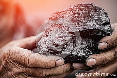 Miner holds coal palm. Concept mining, Top view Stock Photo