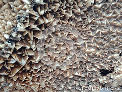 The mineral crystal close up. natural stone rare semiprecious, background wallpaper Stock Photo
