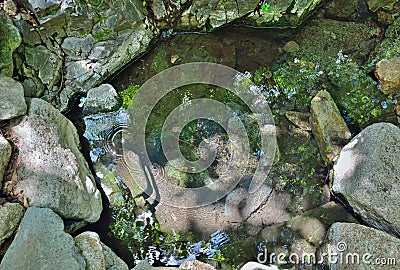 Mineral spring 3 Stock Photo